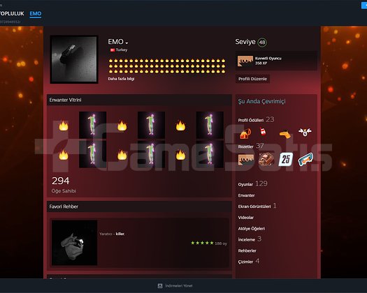 48 level Steam hesabı acil