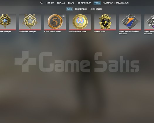 ilk mail csgo hesap 1800 saat 8 rozet