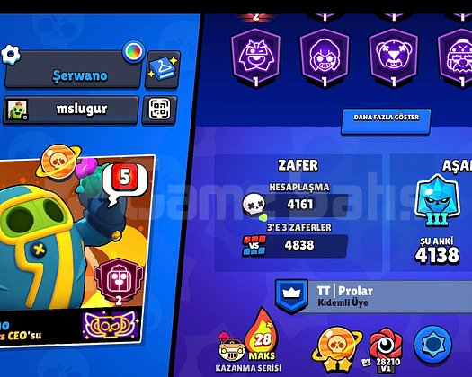 73k kupa bütün krakterler 40 prestij