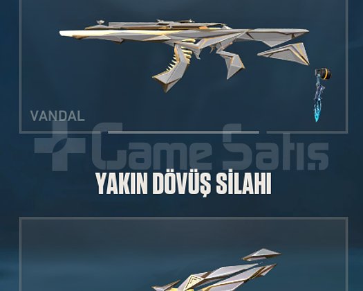 ilşk mail temiz valorant hesap güzel skinler