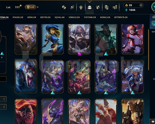 UDYR MAİN HESAP