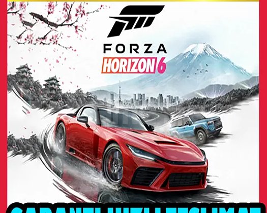 Forza Horizon 6 Deluxe Edition + 2 OYUN +OTO GUARD