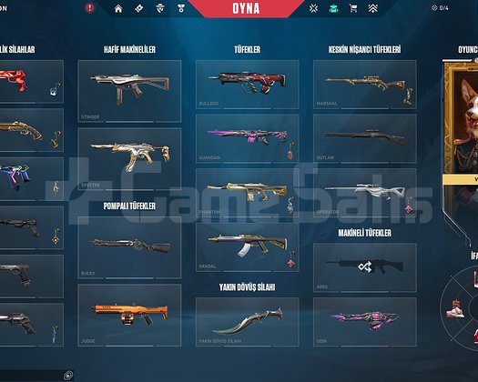 İmmo 3 Peak | Oni-Asil | Dolmir Set | 8110 RR