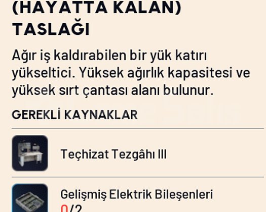 HAYATTA KALAN TASLAĞI