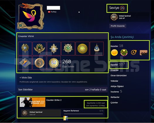 FACEİT+80K OYUN+11 MADALYA 449 WİN 1244 SAAT SEÇKN