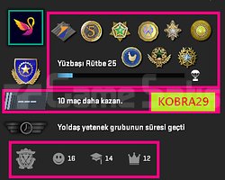 FACEİT+80K OYUN+11 MADALYA 449 WİN 1244 SAAT SEÇKN