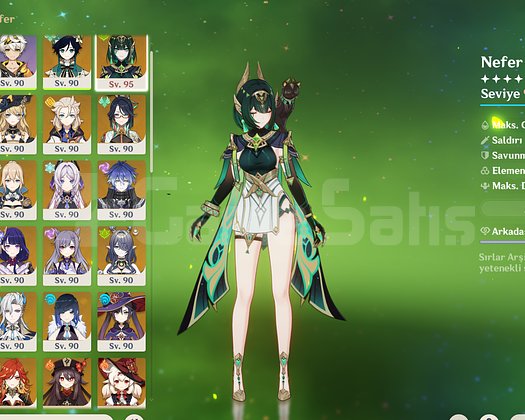 87x5 C6 Nefer + BiS Endgame hesap
