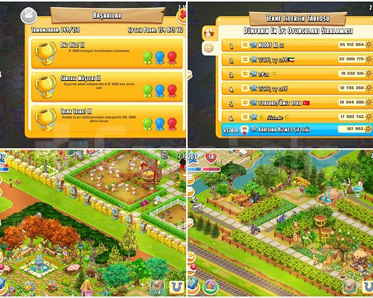 203 LVL HAY DAY HESABI