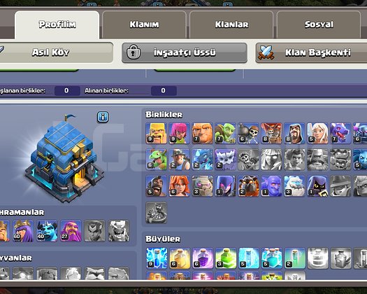 Bina 12 max