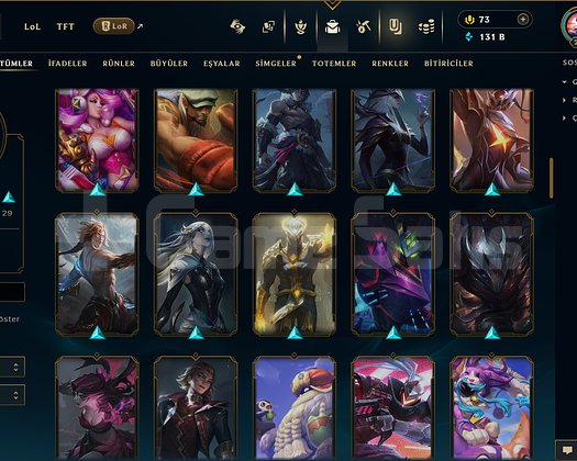 TR / 205 LEVEL / 94 SKİN / FUL HERO +MAİL +TELEFON