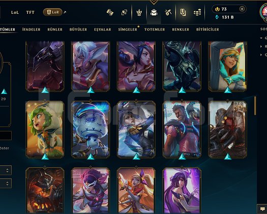 TR / 205 LEVEL / 94 SKİN / FUL HERO +MAİL +TELEFON