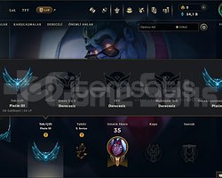 EUW PLAT 3 +30 -10 HESAP