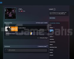CS2 | SEÇKİN AKTİF | VAC BANSIZ | FULL ERİŞİM