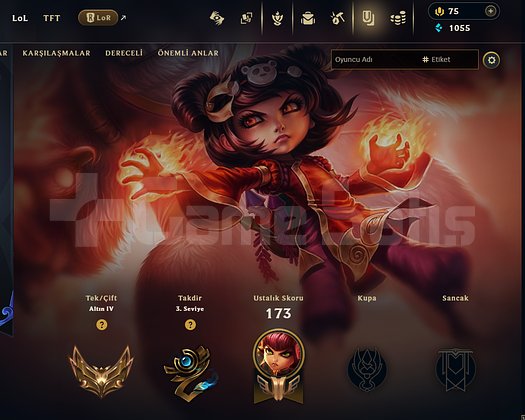 18 kostüm gold 4 acc
