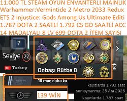 14 MADALYALI 8 LV 699 İTEM DOTA 2 ETS 2 Injustice