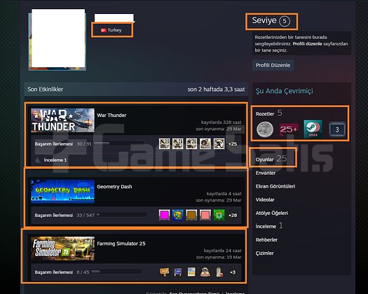 1 MADALYALI 21 LV FACEİT GTA V Microsoft Flight Si