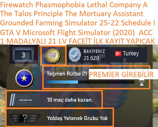 1 MADALYALI 21 LV FACEİT GTA V Microsoft Flight Si