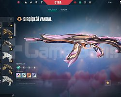 KURONABİ 2.0 SIFIR SET 14 VANDAL 12 PHANTOM
