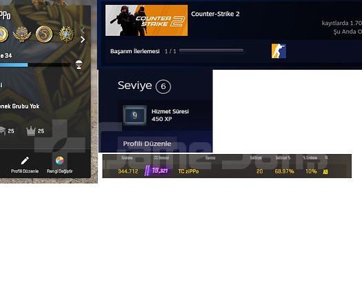 7 MADALYA* 662 WIN* 20K SECKIN ELO*  1700 SAAT CS2