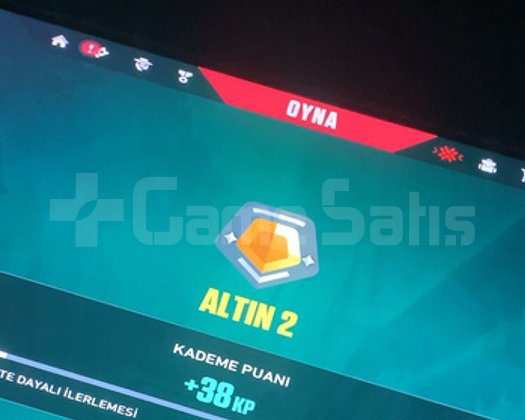 GOLD 2 HESAP
