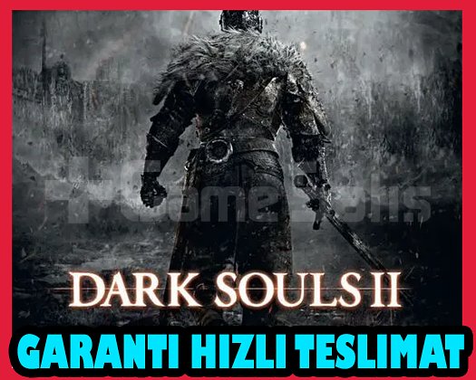 DARK SOULS II Bundle DX9 + OTO GUARD + Garanti