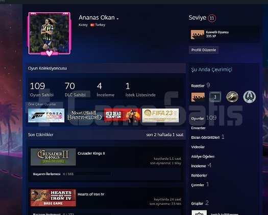 CS2 SEÇKİN + RDR2 + BANNERLORD + FORZA 5 | 109 OY