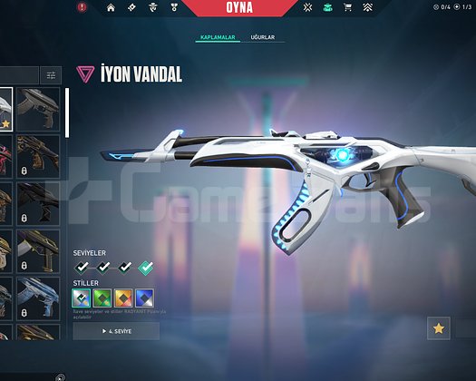 Plat 1 iyon vandallı hesap