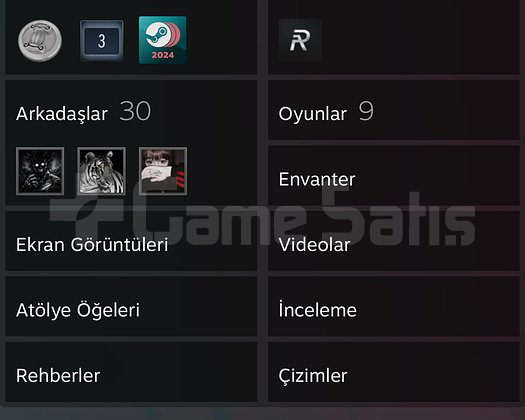 Uyguna prime cs 2 skin var seviye 5 Steam hesabı