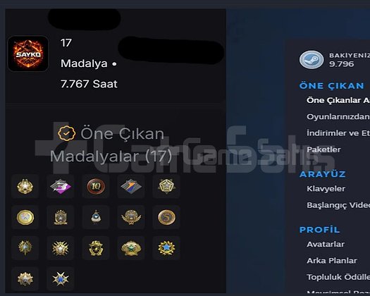 Steam Hesabı Satılık  45 Oyunlu Temiz Hesap