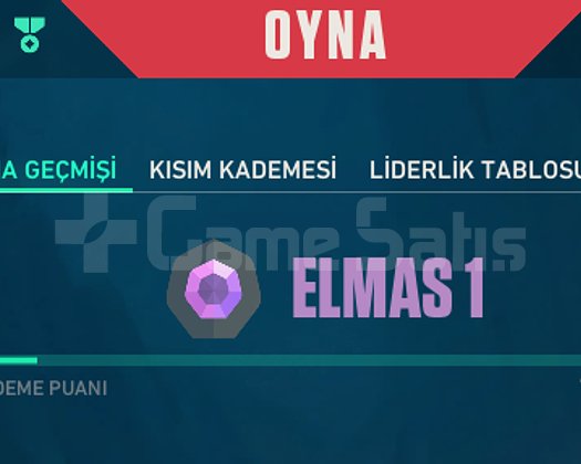 ÖRDEK YAVRUSU İKİLİSİ / RANK GÜNCEL DİA 1
