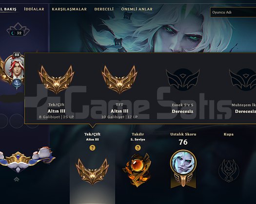 30 LVL SKİNLİ HESAP