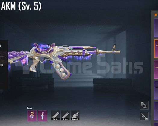 X ZIRH + BUZ 7 + AKM 5 + UMP45 7 + 8 METRYAL FULL
