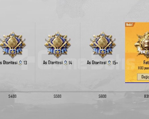 RANKED PUAN KASMA 100 PUAN 20 TL