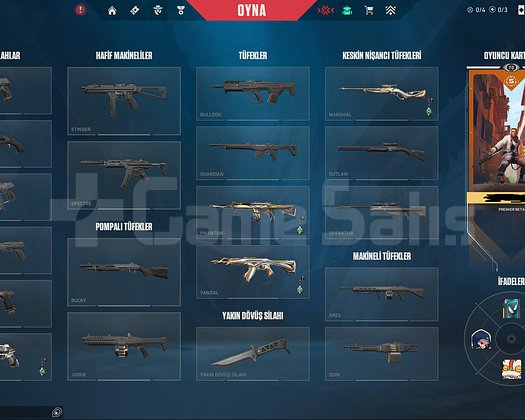 Mainlemelik Skinli İmmo Hesap