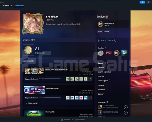 SATILIK STEAM TR HESAP