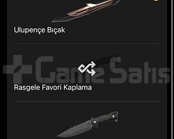 DOPDOLU PLATİN 1 2 BIÇAK GENEL BEĞENŞYE UYGUN SKİN