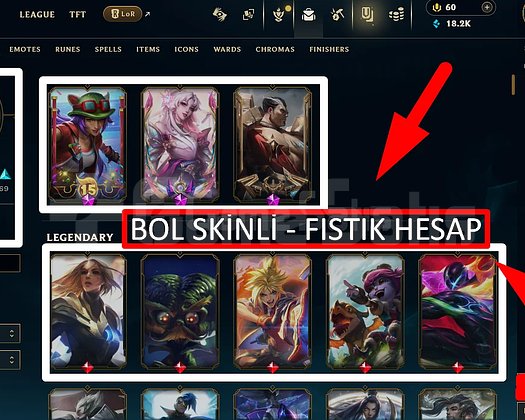 223 LVL + 179 SKİN + FIRSAT HESAP + MAİL !!!!