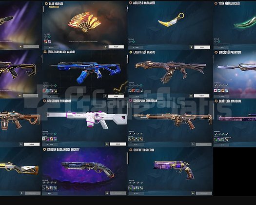 Champion 2023 Set+Alaz Yelpaze |TR Hesap