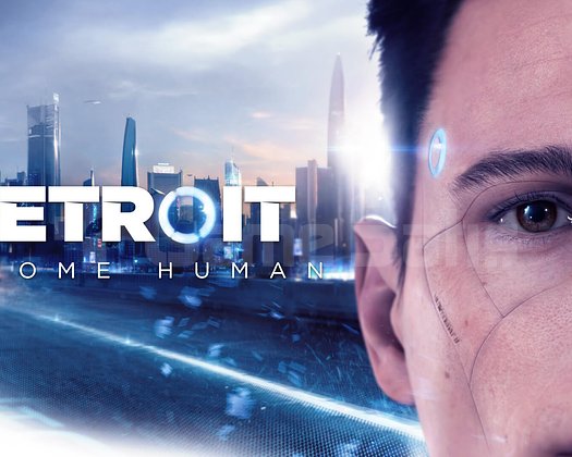 Detroit Become Human | Oto Guard + Garanti