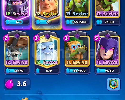 7K KUPA 4 EVRİM 3 YILLIK CR