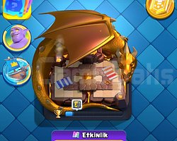 7K KUPA 4 EVRİM 3 YILLIK CR