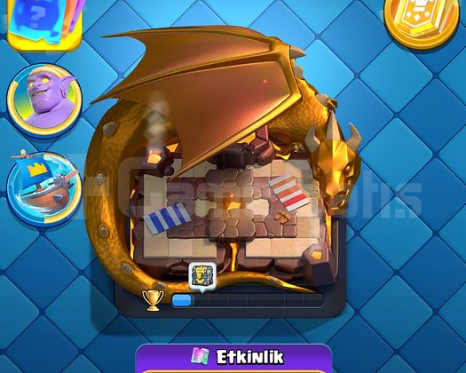 7K KUPA 4 EVRİM 3 YILLIK CR