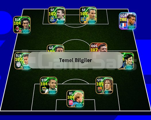3239 KOLİGTİFGÜÇ TEK BAĞ İBRAHİM OVİC PELE VE DAHA