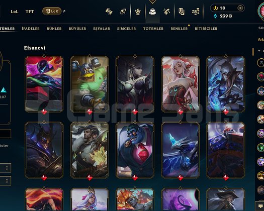 League Of Legends | TR | 248 SKİN | 719 LEVEL