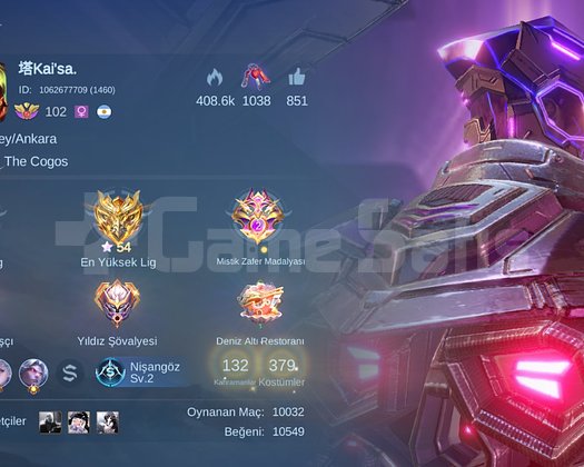 379 Skinli MLBB Hesabı | seçkin savaşçı