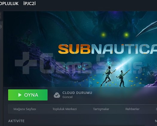 SUBNAUTICA 2 STEAM HESABI