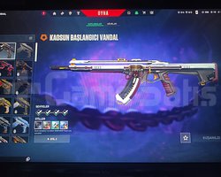 Kaos vandallı rankı açık valo