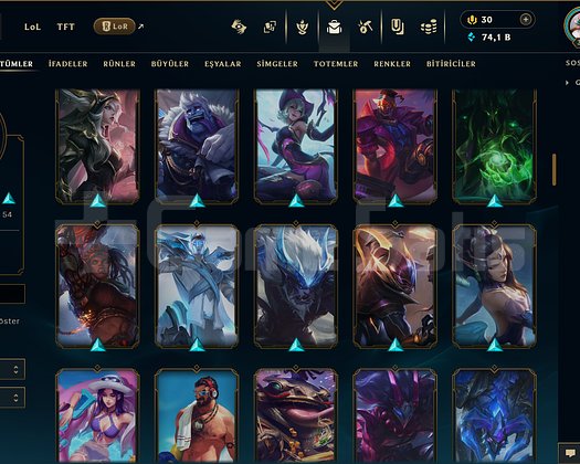 TR / 380 LEVEL / 123 SKİN / FUL HERO +MAİL
