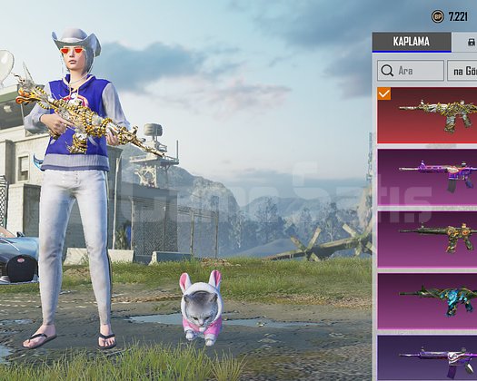 4x M4 66 Koleksiyon Sağlam Main Hesap