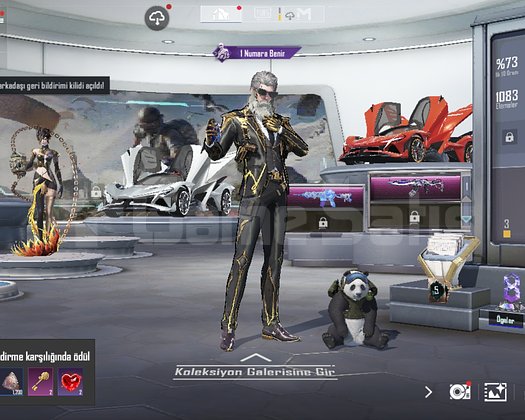 2 Apollo full silah planor skinleri aç8k